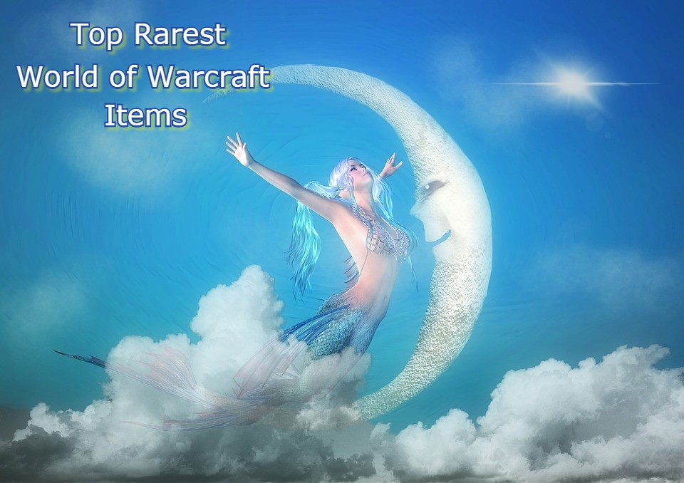 Top Rarest World of Warcraft Items